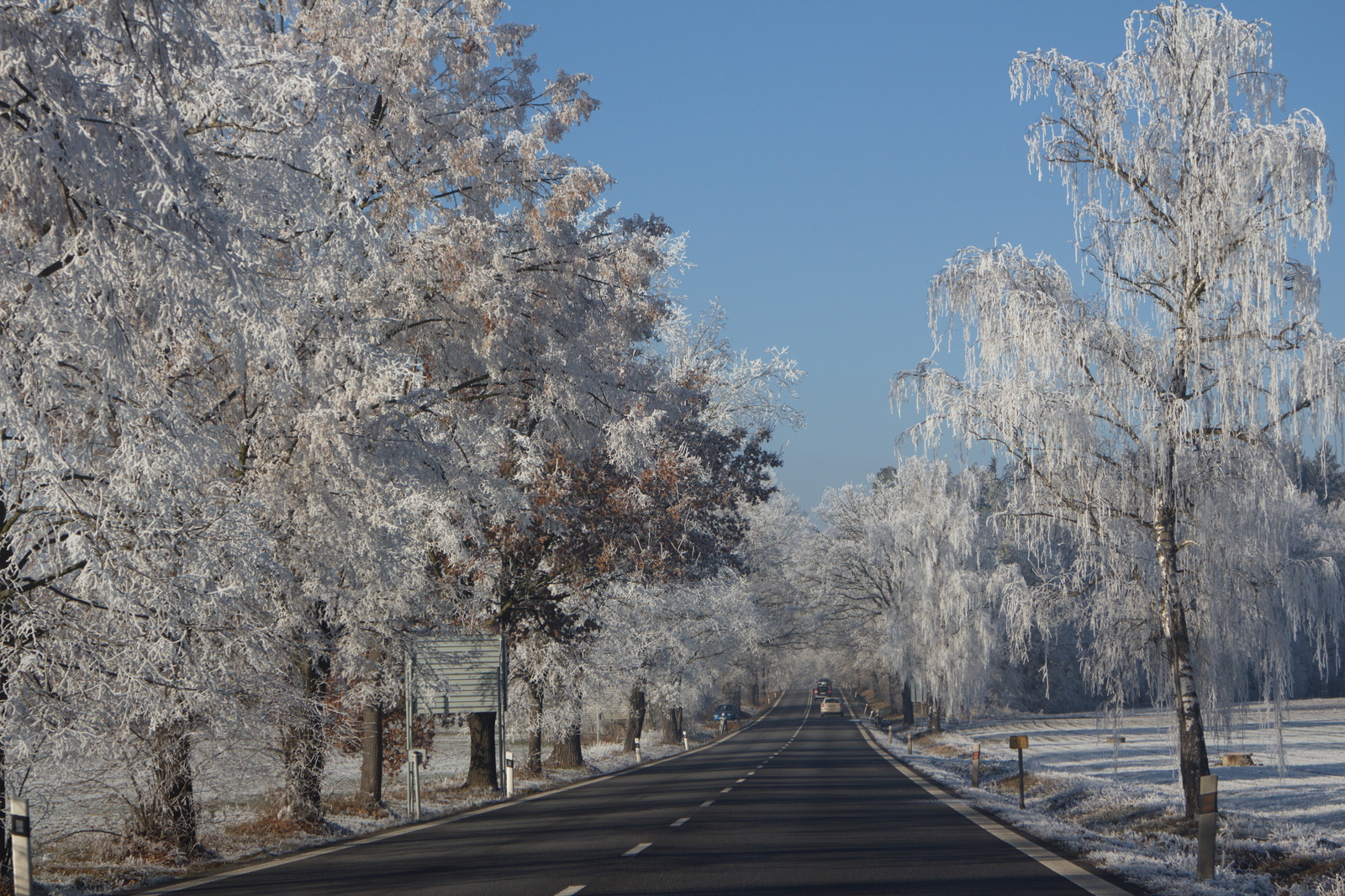 Winter road. Czech. - My, Travels, Czech, Road, The photo, Frost