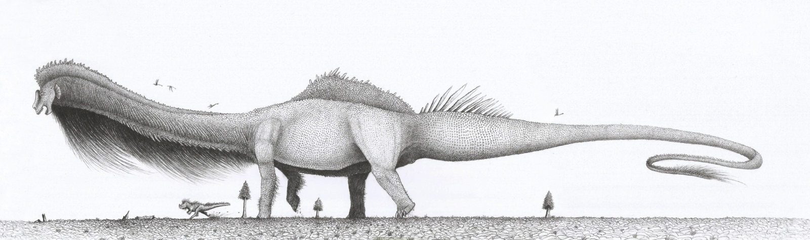 Amphicelia - Jurassic Ghost Colossus - My, Paleontology, Dinosaurs, Giant, Sauropods, Longpost