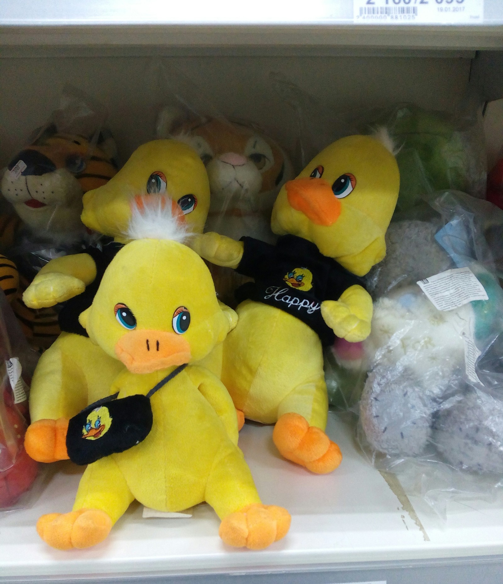 When you're sad but don't want to show it - My, Duck, Supermarket, Kazakhstan