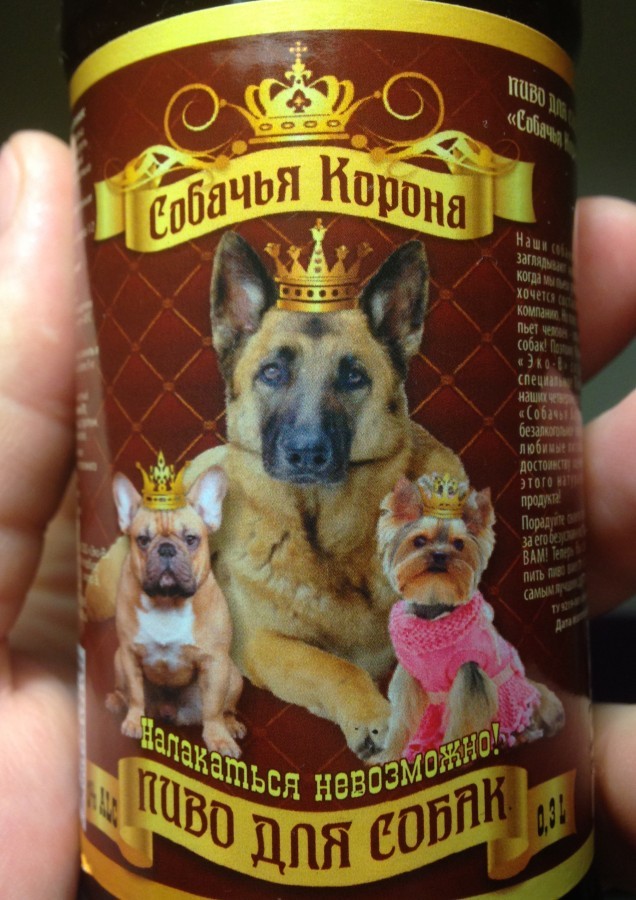 dog crown - Beer, Dog, Crown, Longpost