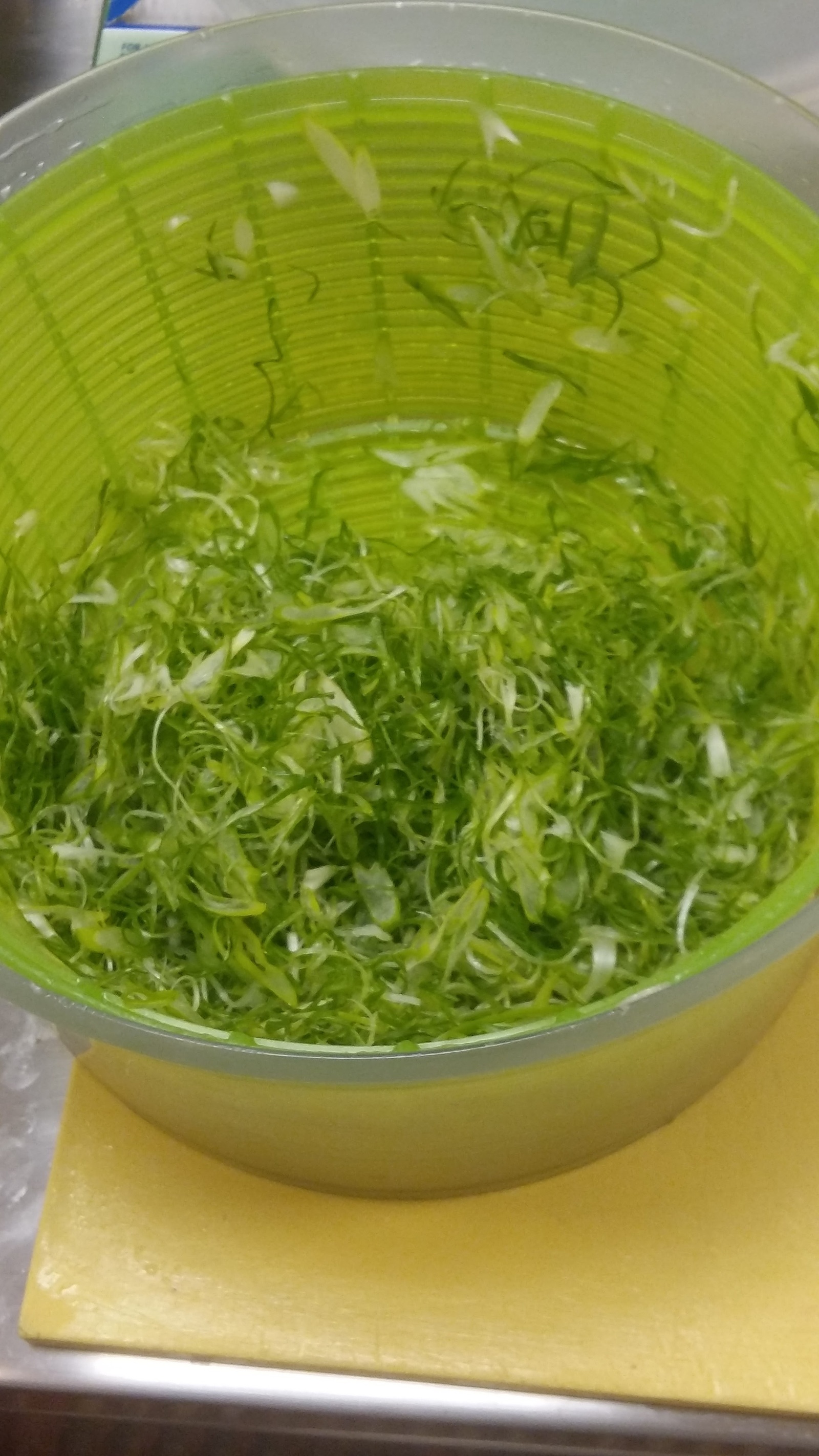 What could be easier than chopping green onions? - My, Onion, , Kitchen, Video, Longpost