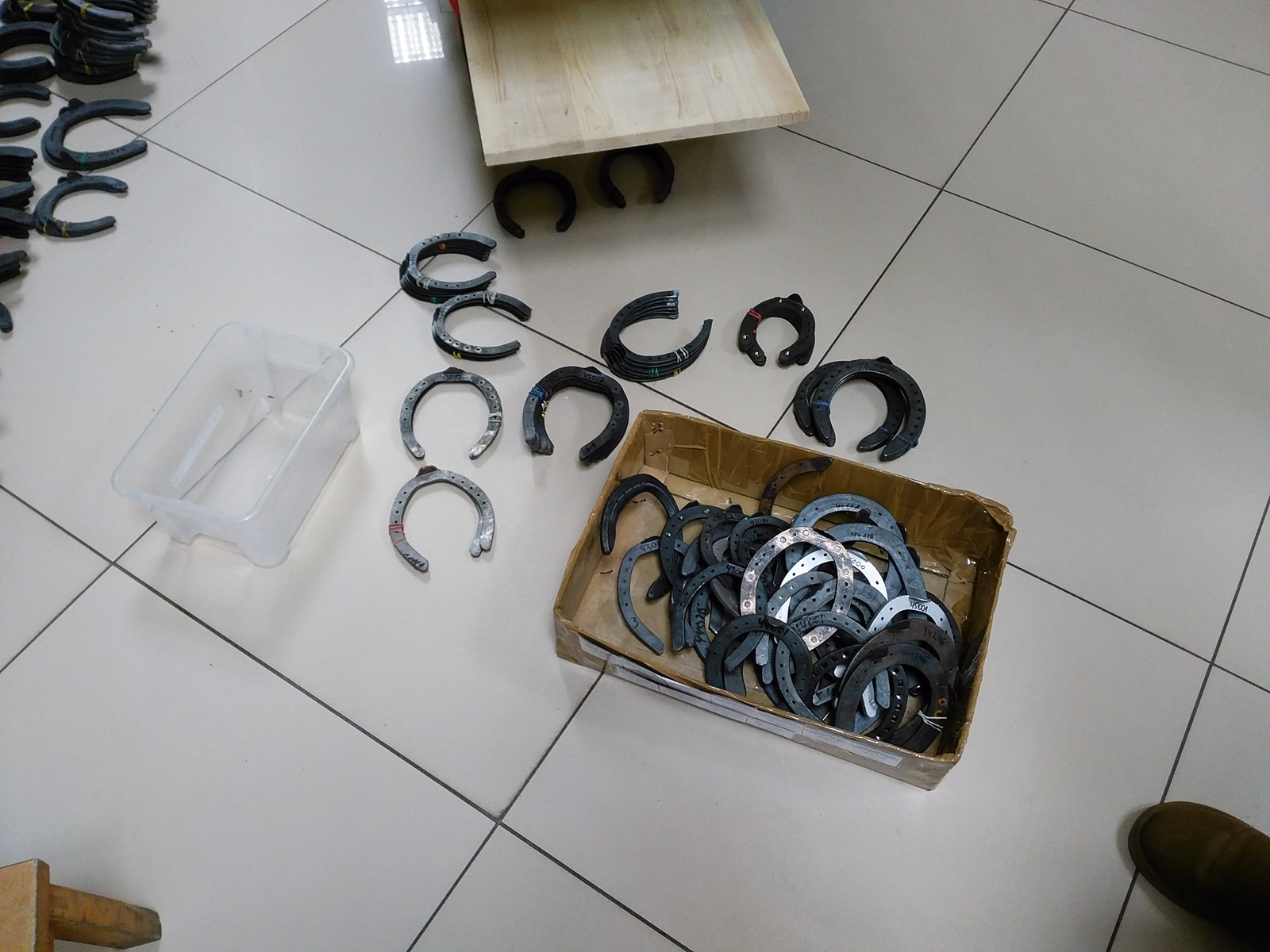 Today I did an inventory of horseshoes in the store. - My, Horses, Horseshoe, Longpost