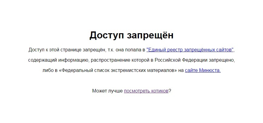 Роскомнадзор доставляет. - Моё, Кот, Торрент, Пираты, Облом, Роскомнадзор