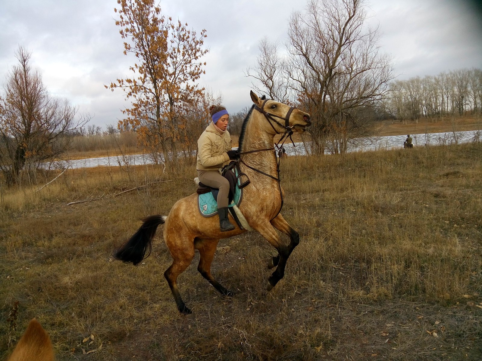 How to help a horse cope with fears? - My, Horses, Horses, Fear, Upbringing, Method, Video, Longpost