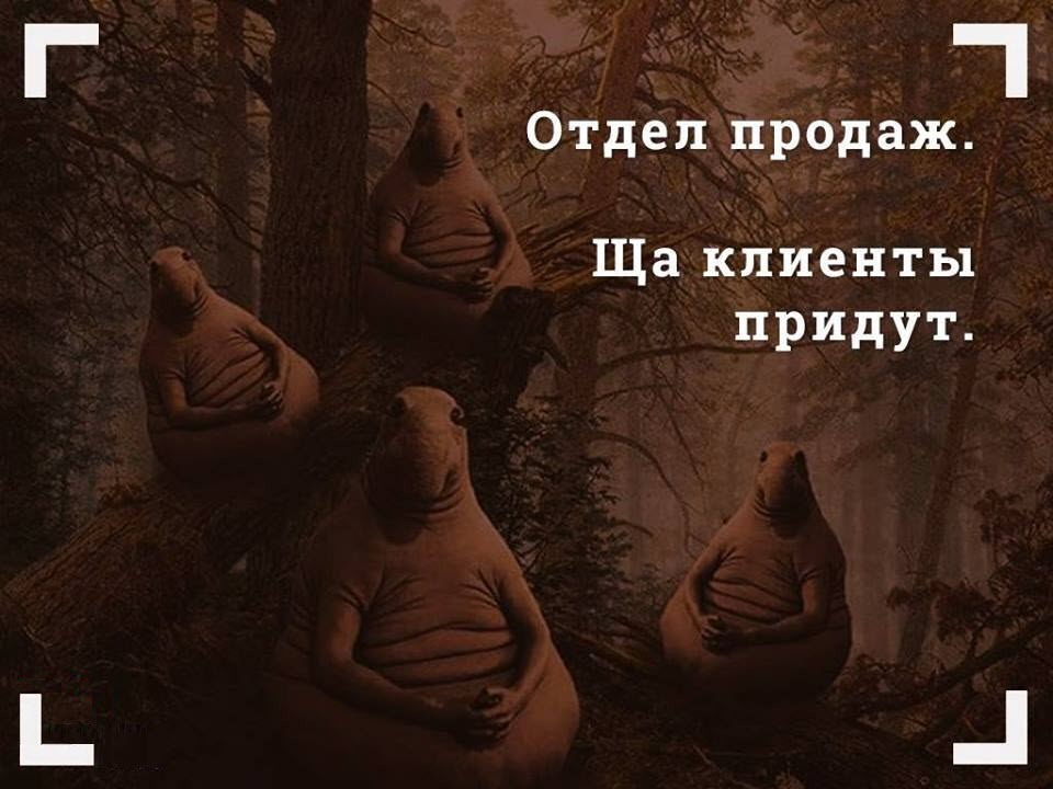 В ожидании - Продажа, Интернет-Магазин, Маркетинг, Менеджер по продажам, Ждун