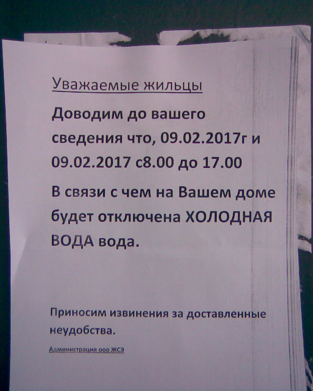 Довожу до вашего. Довожу до вашего сведения. Довожу дотасшего сведения. Доводим до вашего сведения информацию. Уважаемые коллеги доводим до вашего сведения.