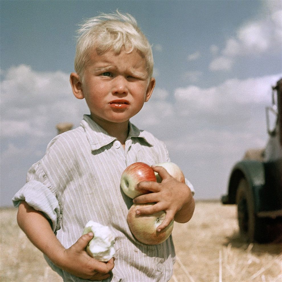 Forbidden fruit is sweet =) - My, My, Dacha, Summer, Apples, Theft, Robbers, Longpost, Theft