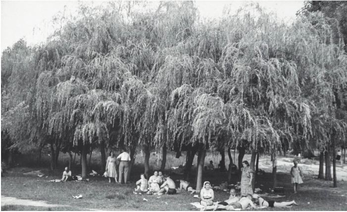 Soviet Union through the eyes of an American photographer - the USSR, The photo, A life, Press, The americans, Longpost