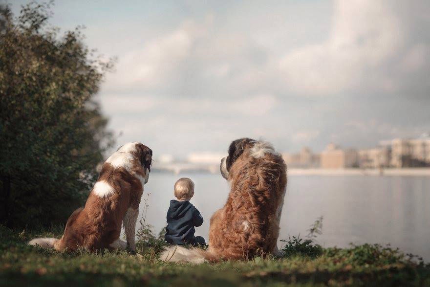 “Little children and their big dogs” — photo project by Andrey Seliverstov - Dog, Children, The photo, Longpost