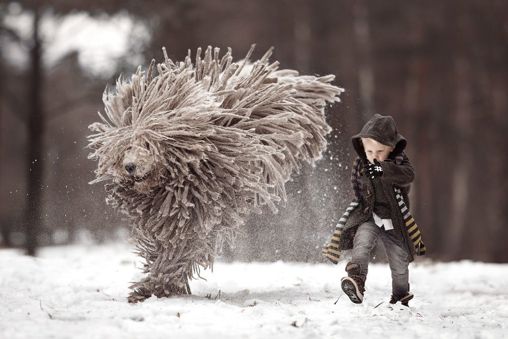 “Little children and their big dogs” — photo project by Andrey Seliverstov - Dog, Children, The photo, Longpost