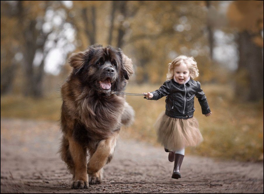 “Little children and their big dogs” — photo project by Andrey Seliverstov - Dog, Children, The photo, Longpost