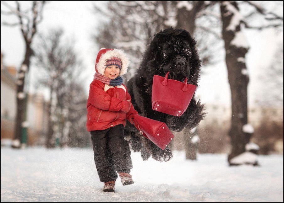 “Little children and their big dogs” — photo project by Andrey Seliverstov - Dog, Children, The photo, Longpost