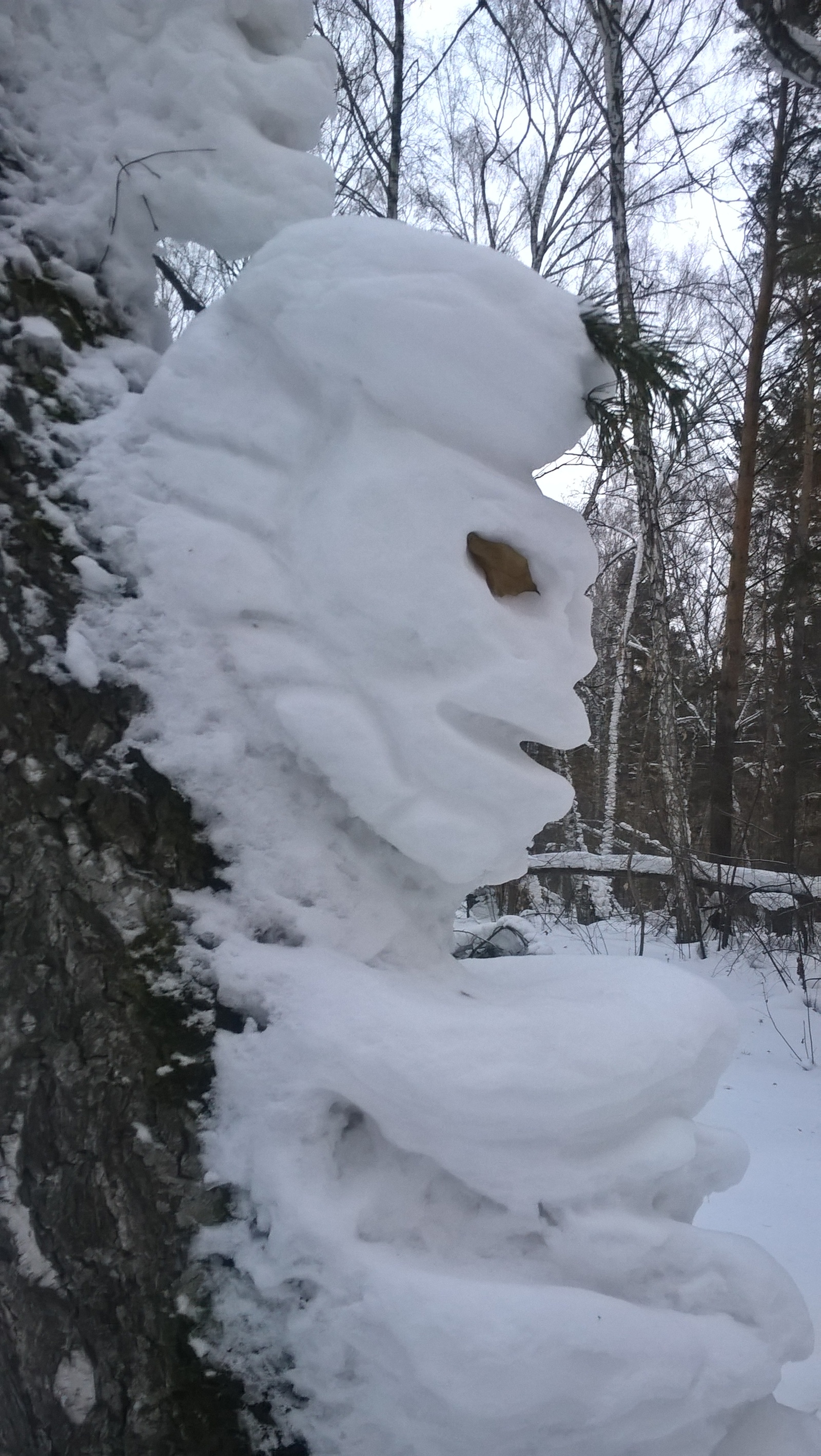 In one of the parks in Novosibirsk... - My, Head, Snow, Tree