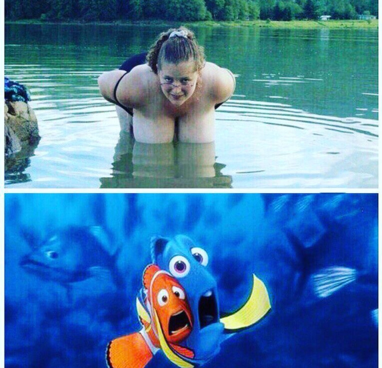 The whole truth about Nemo - NSFW, Finding Nemo, Boobs, , Horror