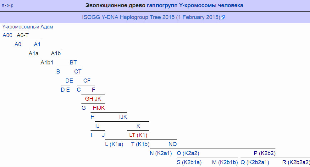 The gene pool of the human population. - Genetics, Haplogroup, , Redheads, Longpost, Г–tzi, , 