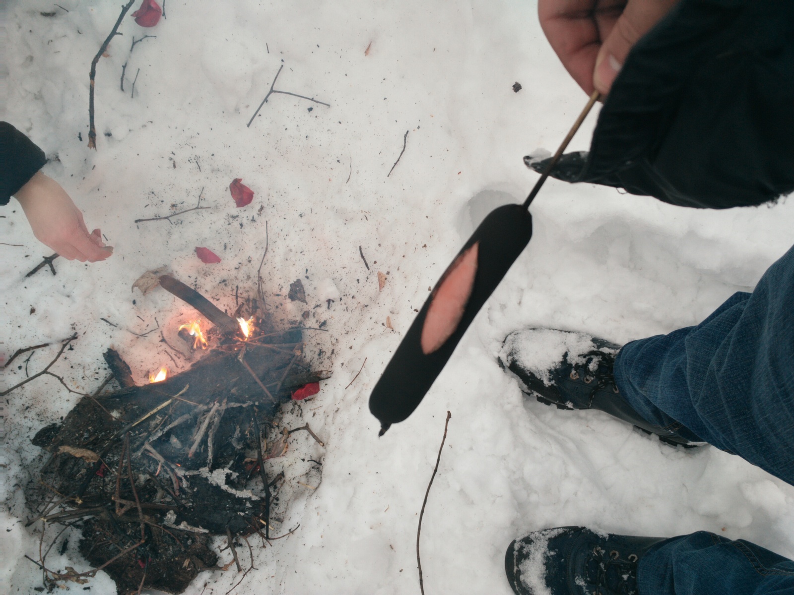 Sausage - My, Sausages, The photo, Forest, Fire, Snow