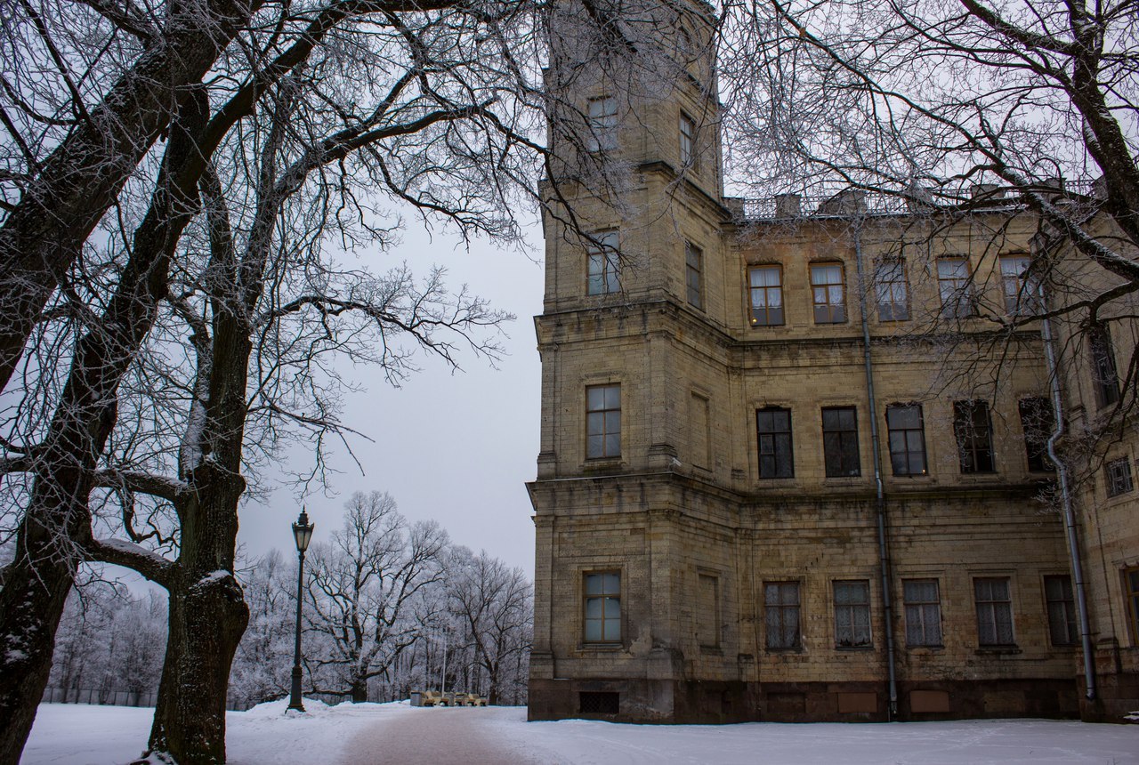 Gatchina near St. Petersburg - My, My, The photo, Winter, Gatchina, Hobby, Longpost