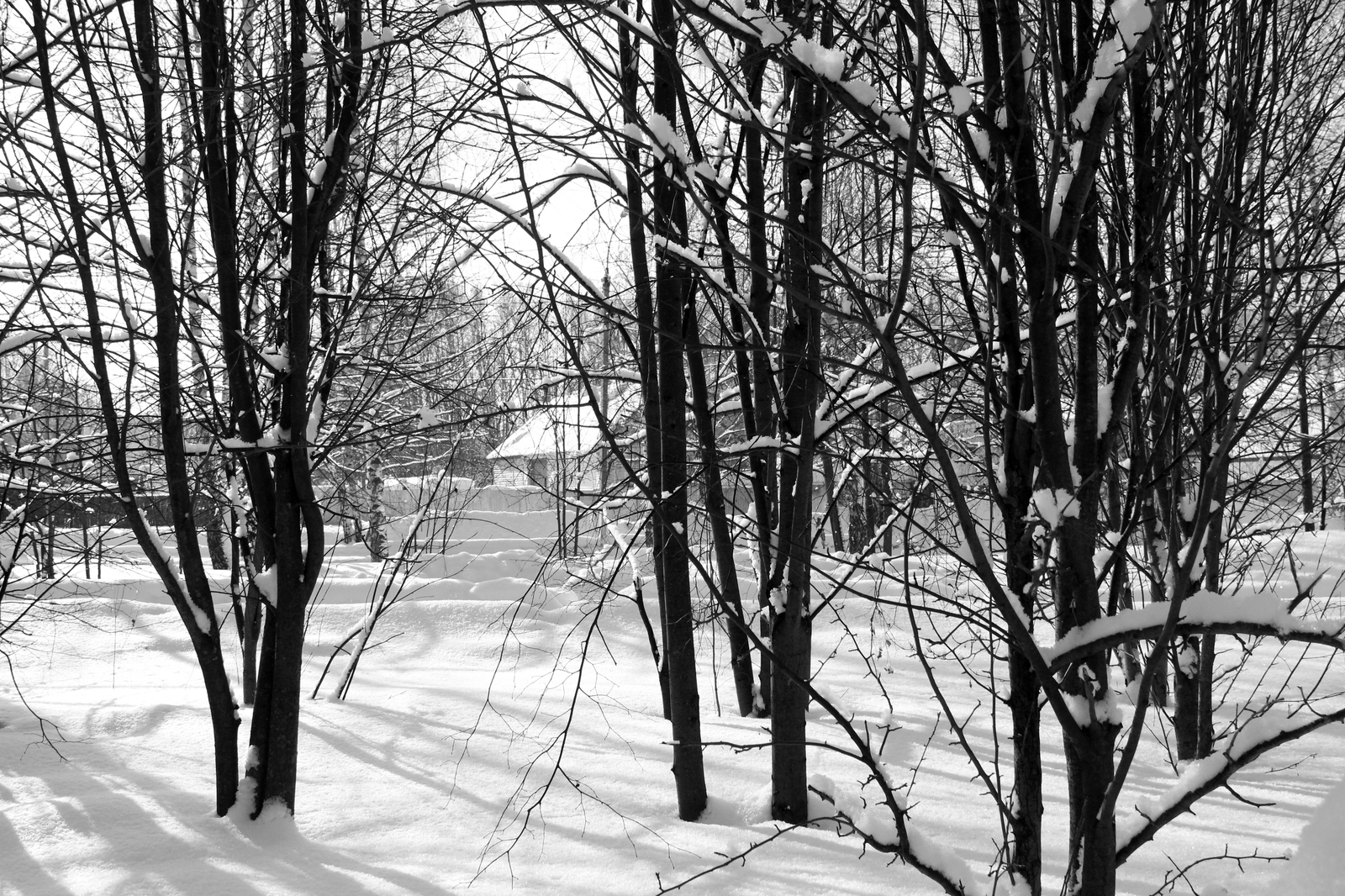 Winter is leaving - My, Winter, The photo, Not funny, Spring=Winter, Spring, Black and white