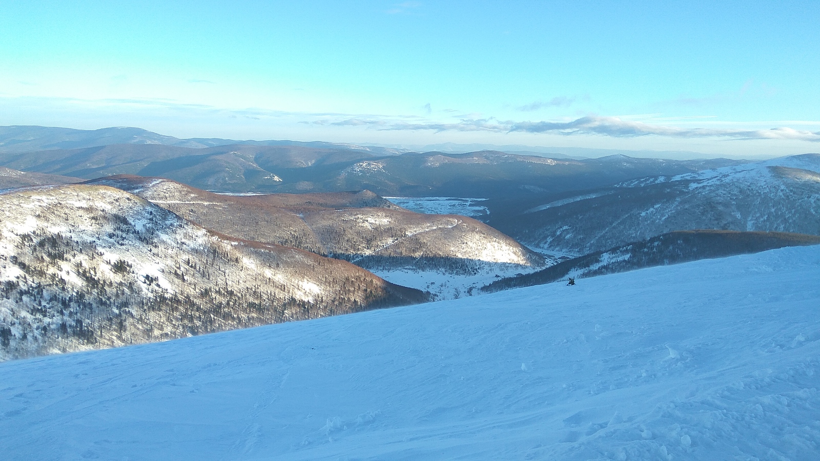 Dwarf spruce? - My, , Freeride, Snowboard, Snow, Mine