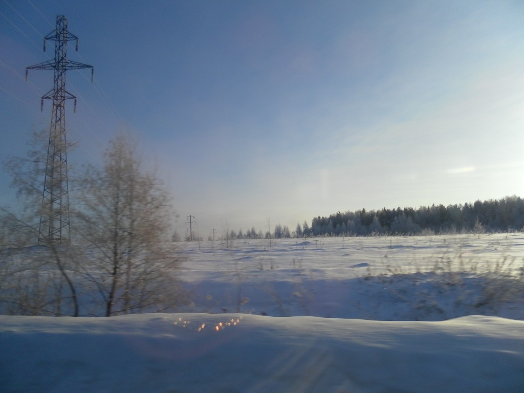 Winter in the Tver region - My, Winter, Tver region, Snowdrift, Forest, Walk, Longpost