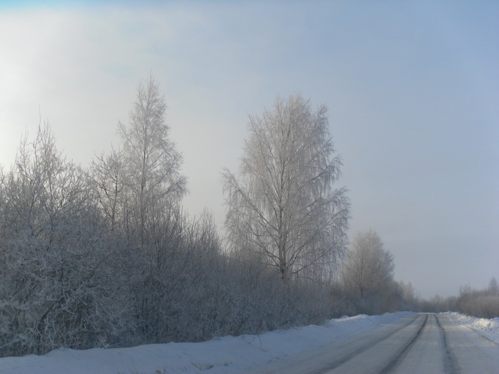 Winter in the Tver region - My, Winter, Tver region, Snowdrift, Forest, Walk, Longpost