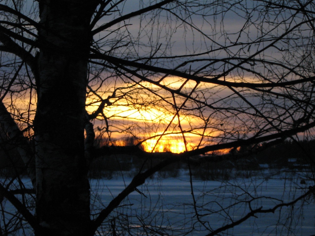 Winter in the Tver region - My, Winter, Tver region, Snowdrift, Forest, Walk, Longpost