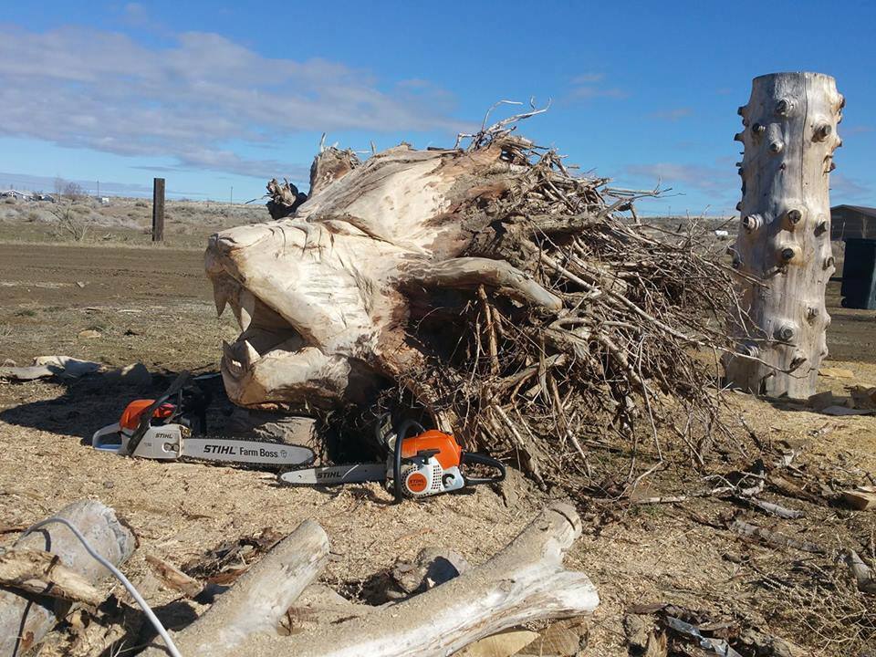 Well, don't throw it away. - Roots, Woodworking, The photo