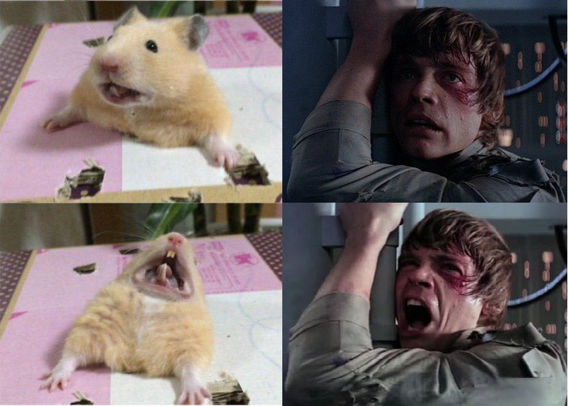 Hamster interpretation by my friend - Hamster, Star Wars