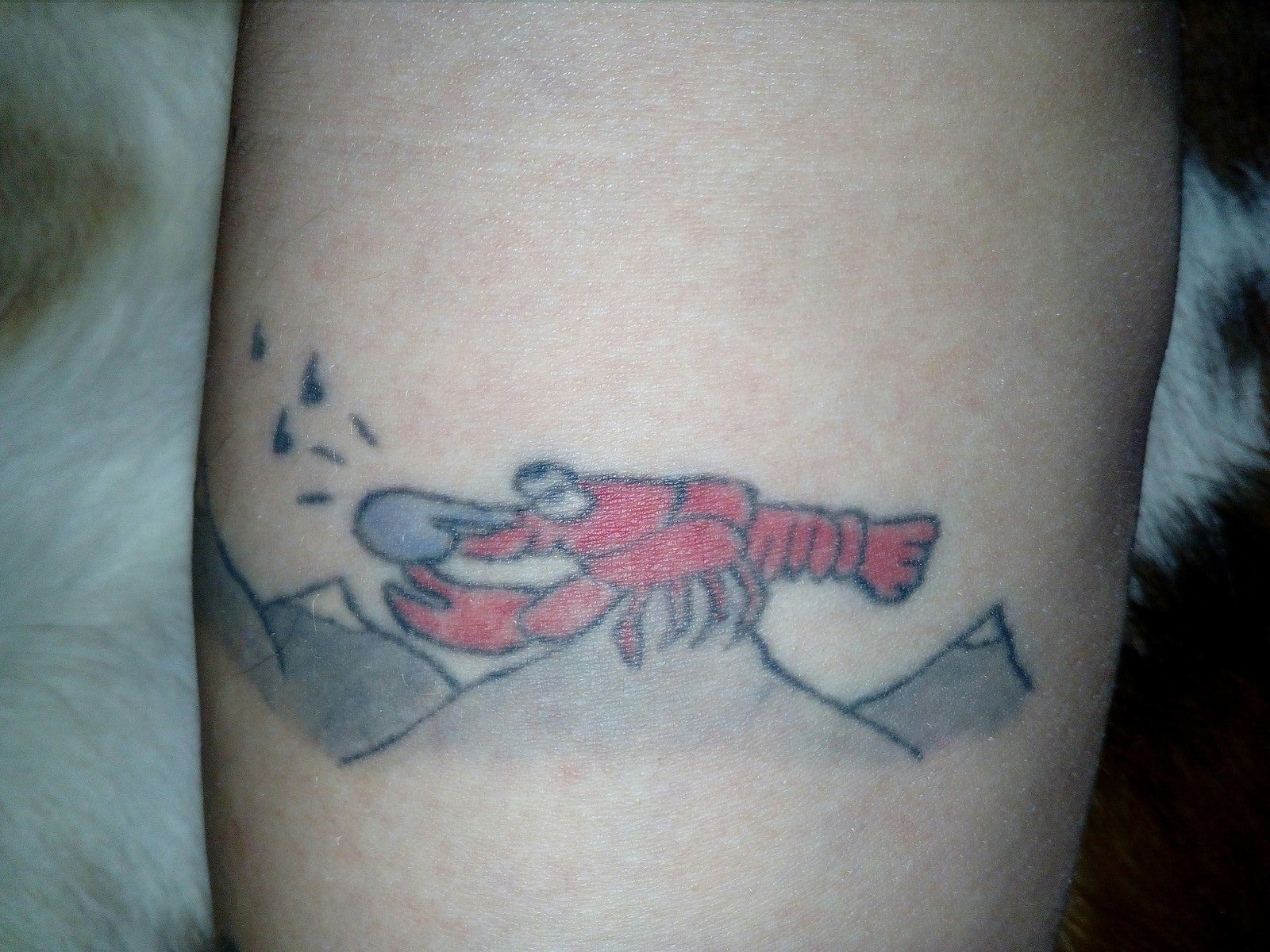 Tattoo based on the picture. - Crayfish, Tattoo, Based on the, 