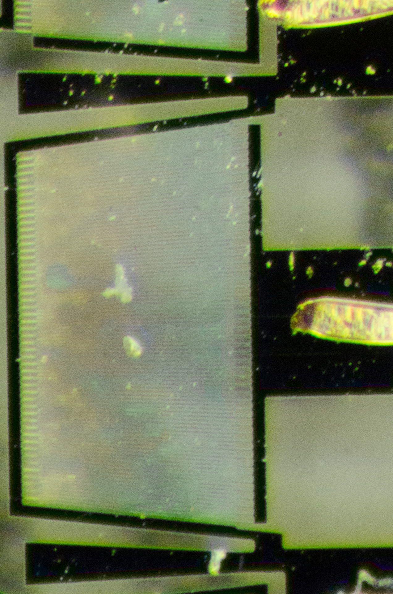 The inside of a SAW filter under a microscope - My, Circuitry, Electronics, Longpost