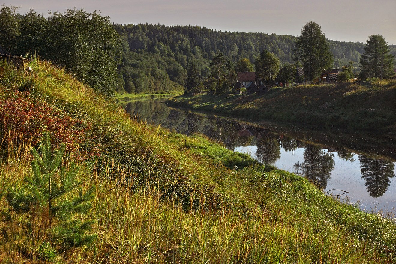 Veps forest - Veps forest, Leningrad region, Russia, Fog, Grace, The photo, Summer, Nature, Longpost