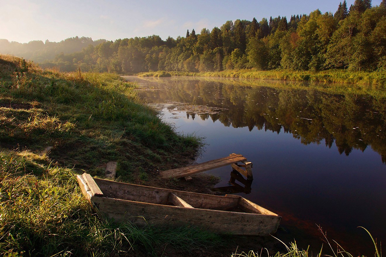 Veps forest - Veps forest, Leningrad region, Russia, Fog, Grace, The photo, Summer, Nature, Longpost