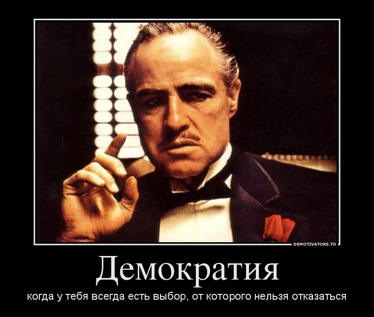 Democracy at St Petersburg University that cannot be abandoned - My, SPbSU, Education, MSU, Monsters University, Vladimir Putin, Teacher, Pedagogy