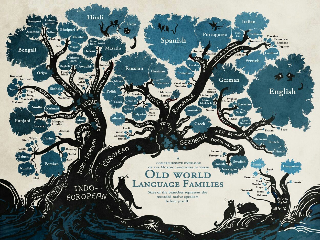 Evolution - Evolution, Tree of life