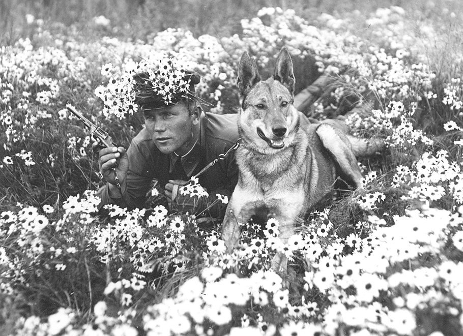 The Red Army until 1945 in photographs. - the USSR, , Red Army, Longpost, Dog