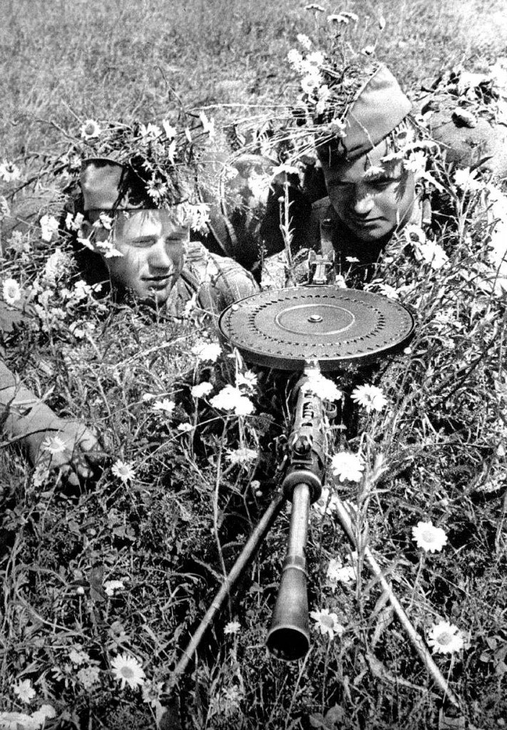 The Red Army until 1945 in photographs. - the USSR, , Red Army, Longpost, Dog