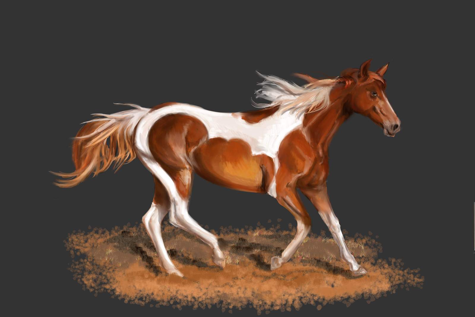 Horses in Photoshop - My, Horses, Drawing, Art, Photoshop