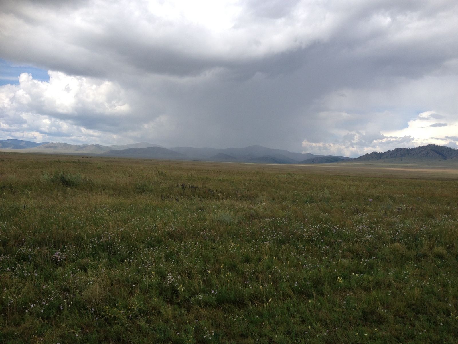 Valley of the Kings - My, Clouds, Khakassia, The mountains, Mound, Steppe, Valley of the Kings, Birds, Longpost