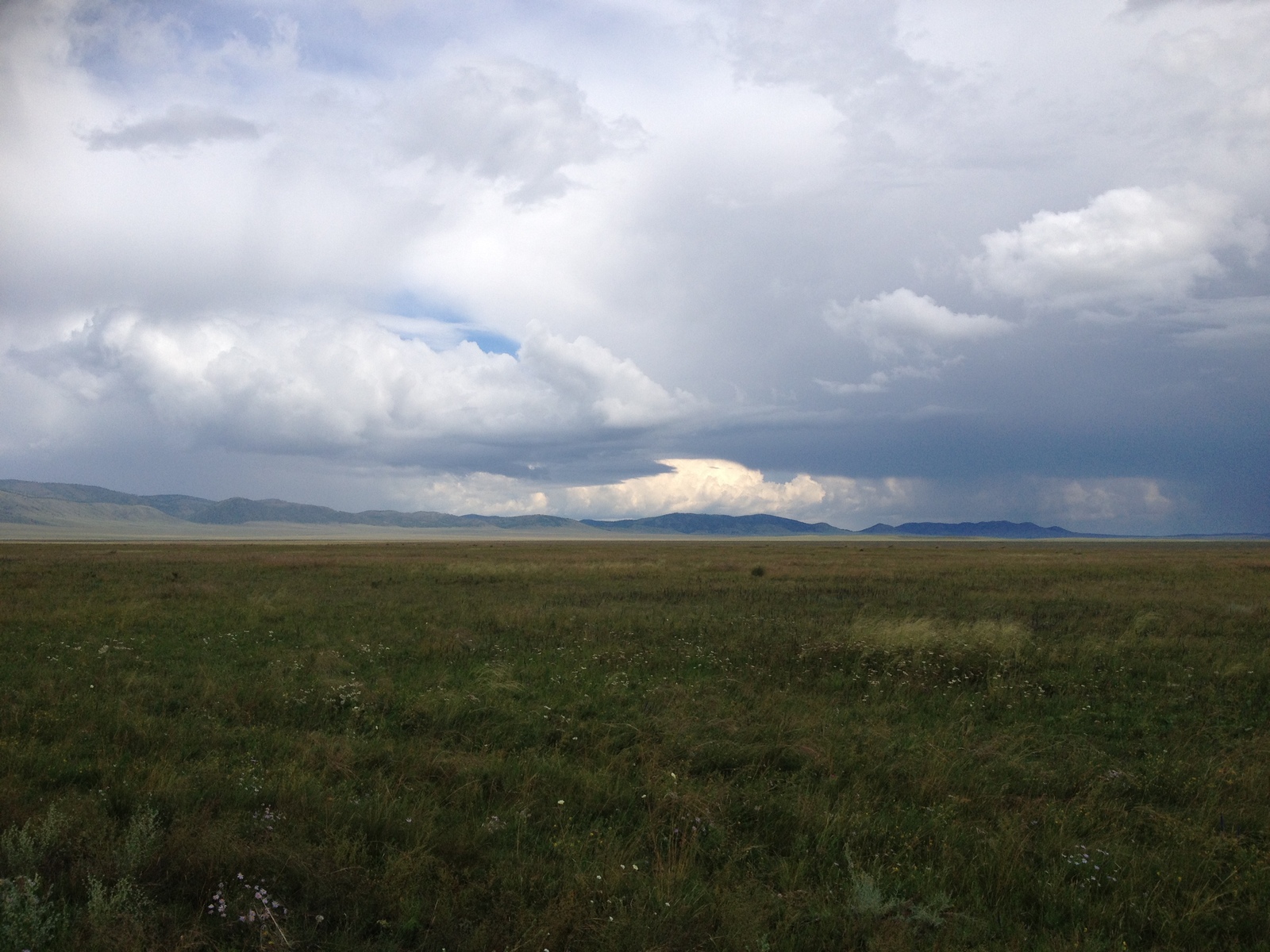 Valley of the Kings - My, Clouds, Khakassia, The mountains, Mound, Steppe, Valley of the Kings, Birds, Longpost