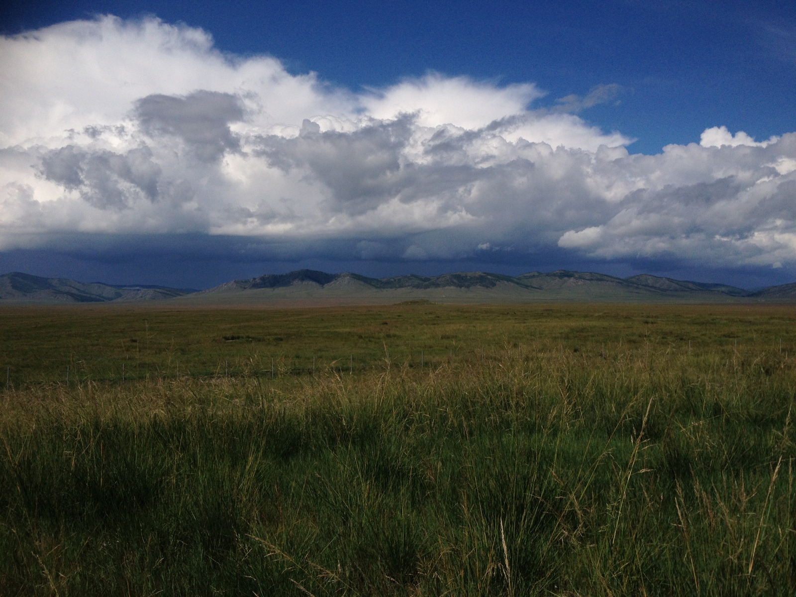 Valley of the Kings - My, Clouds, Khakassia, The mountains, Mound, Steppe, Valley of the Kings, Birds, Longpost