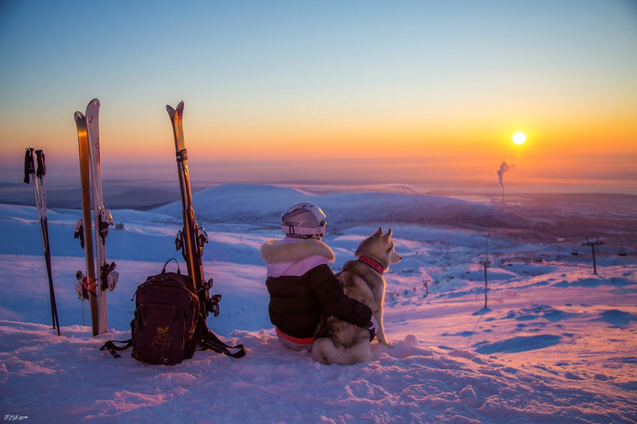 Downhill from the Husky - The photo, Winter, Snow, Skis, Dog, Husky, Murmansk region, Khibiny, Longpost