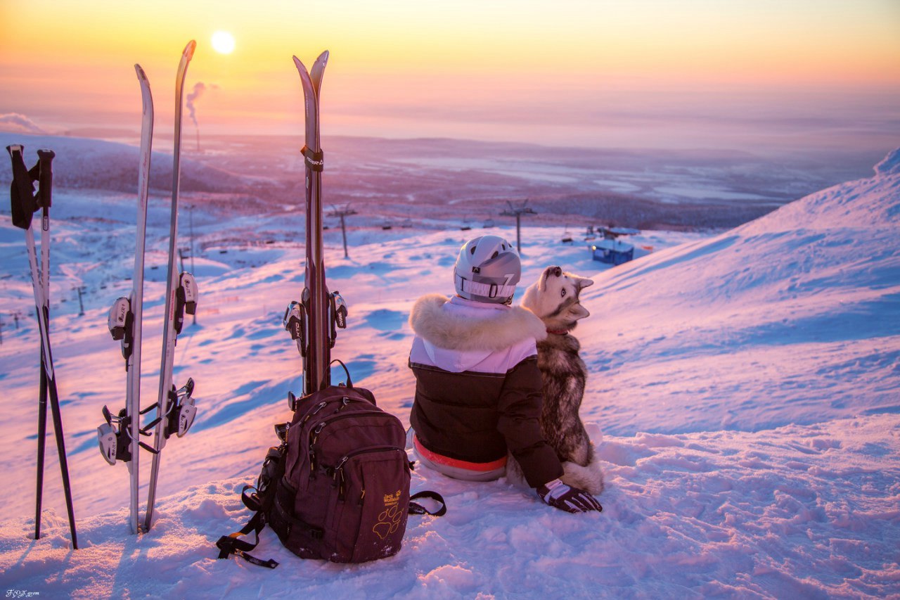 Downhill from the Husky - The photo, Winter, Snow, Skis, Dog, Husky, Murmansk region, Khibiny, Longpost