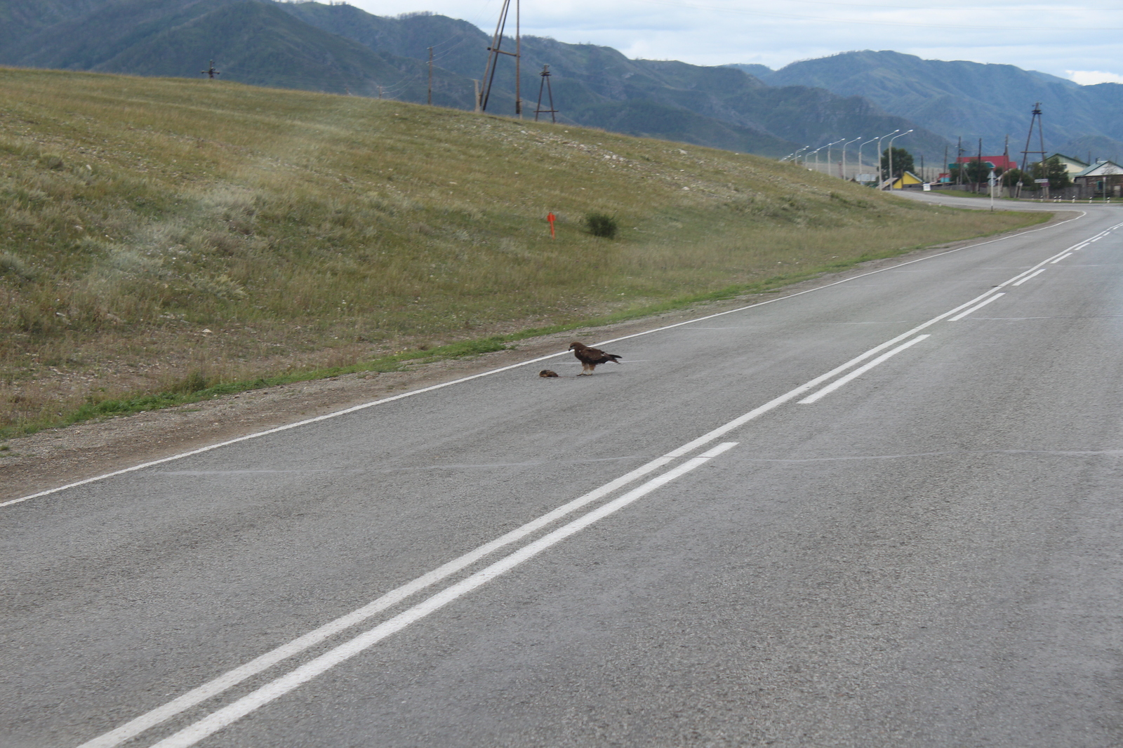 A story about a trip to Baikal, day 4 - Gorny Altai - My, , Road trip, Altai, Longpost, Altai Republic