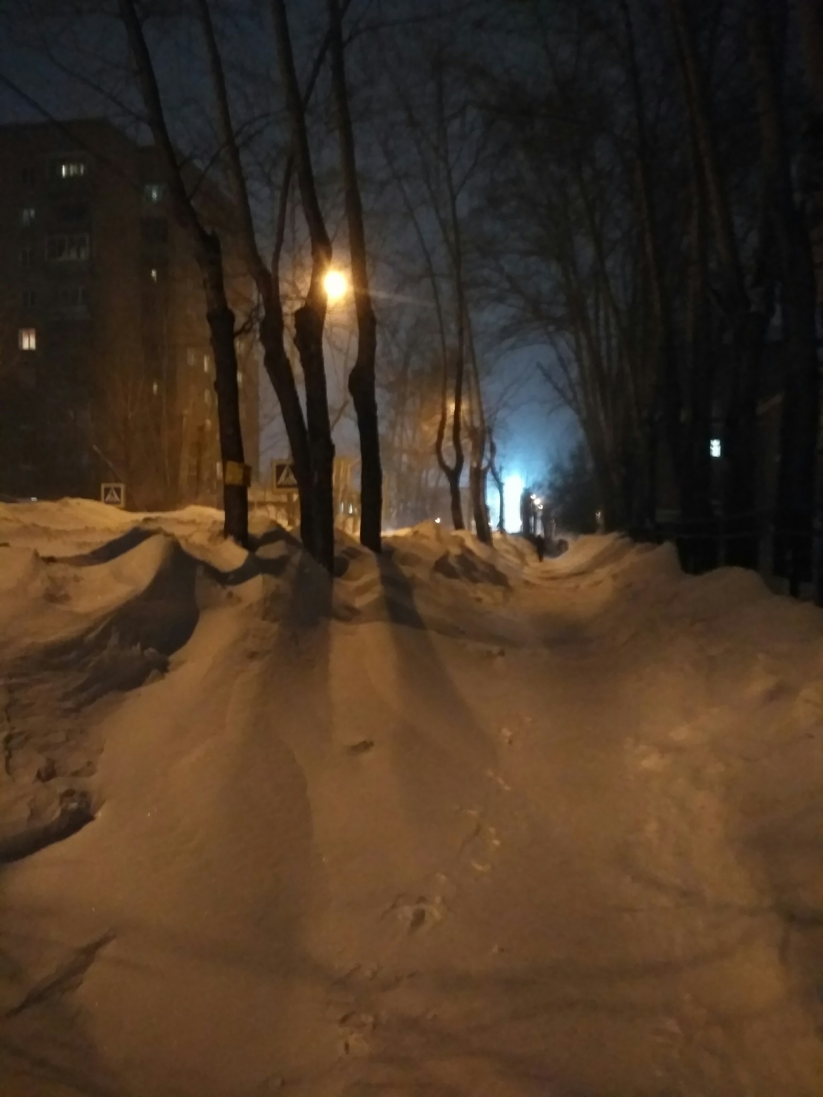 Republican Street. Novosibirsk. - My, Town, Evening, The photo