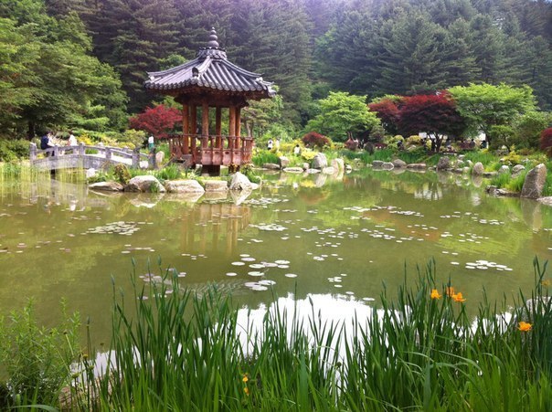 Garden of Morning Calm, South Korea - Travels, Garden, South Korea, Nature, sights, Longpost