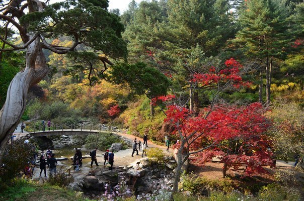 Garden of Morning Calm, South Korea - Travels, Garden, South Korea, Nature, sights, Longpost