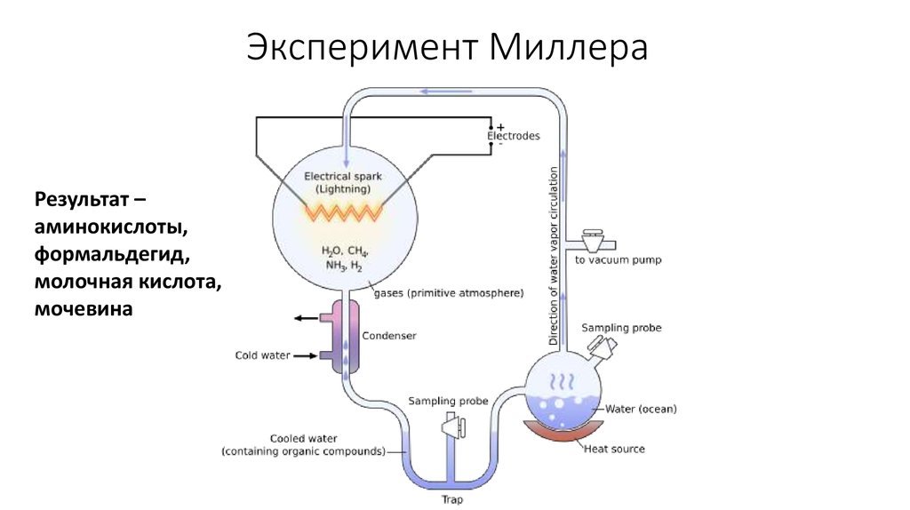 Origin of Life #2 - The science, Abiogenesis, Origin of life, Biology, Cell, Longpost