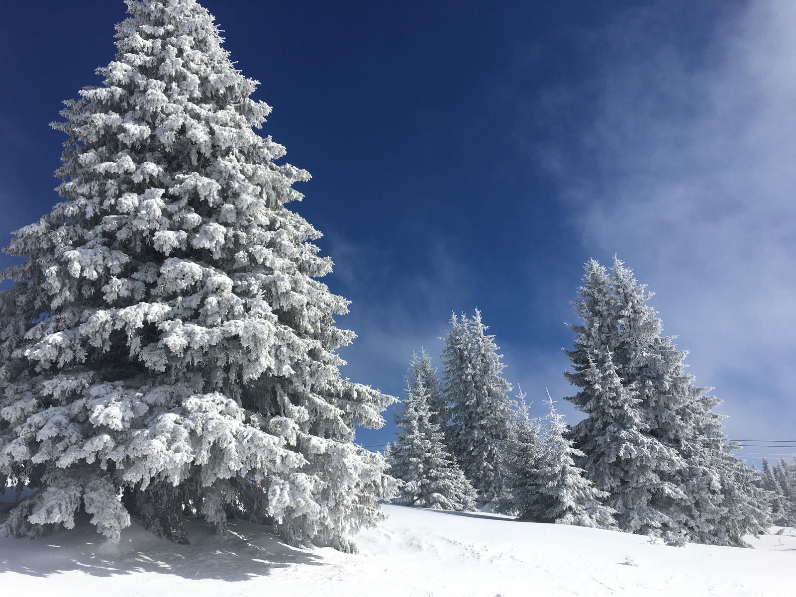 Winter fairy tale in Bulgaria - My, Bulgaria, Winter, The mountains, Ski resort, 