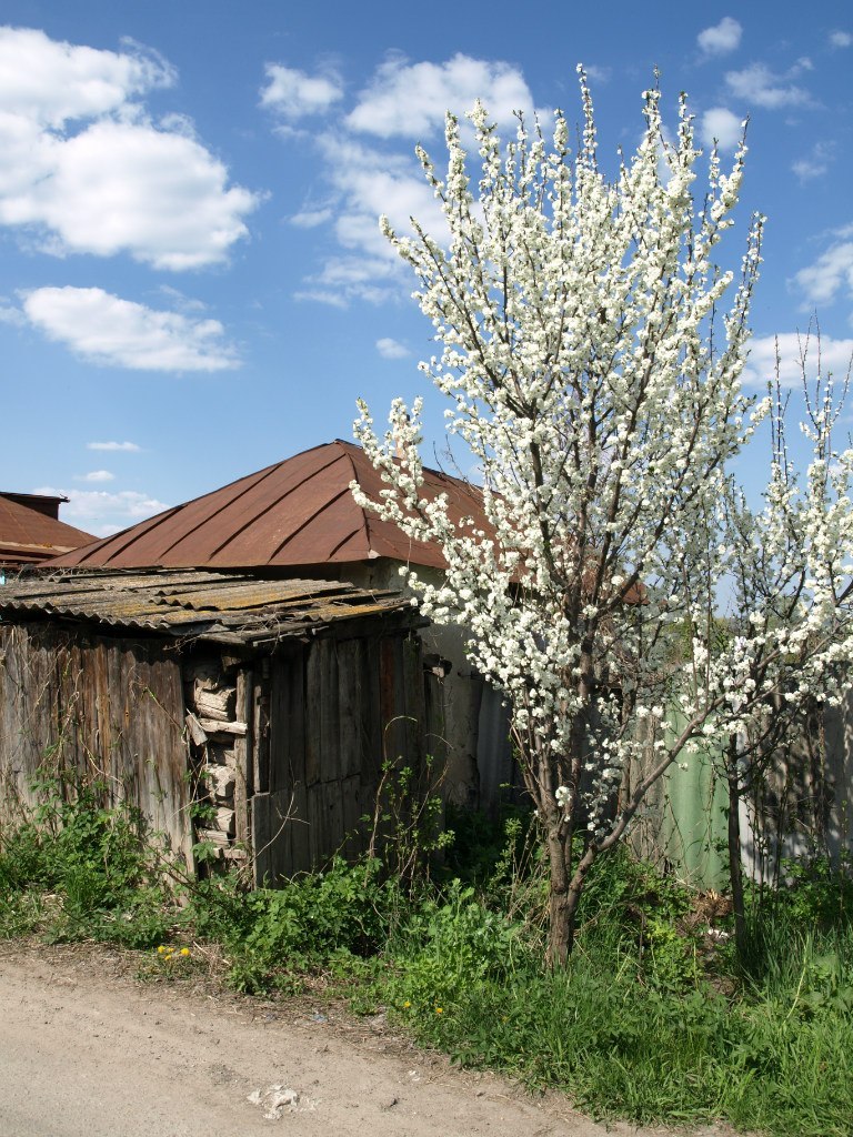 Весна в русской глубинке - Моё, Весна, Валуйки, Симоновка, Белгородская область, Деревня, Длиннопост