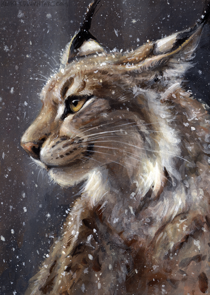 Art by kenket. [DeviantArt] - Deviantart, Art, Leopard, cat, Kenket